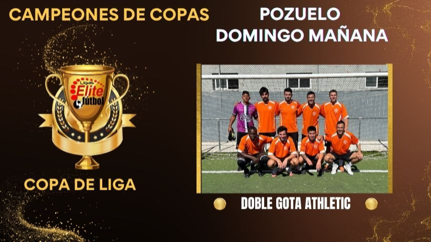 CAMPEÓN DE COPA. POZUELO DOMINGOS MAÑANA
